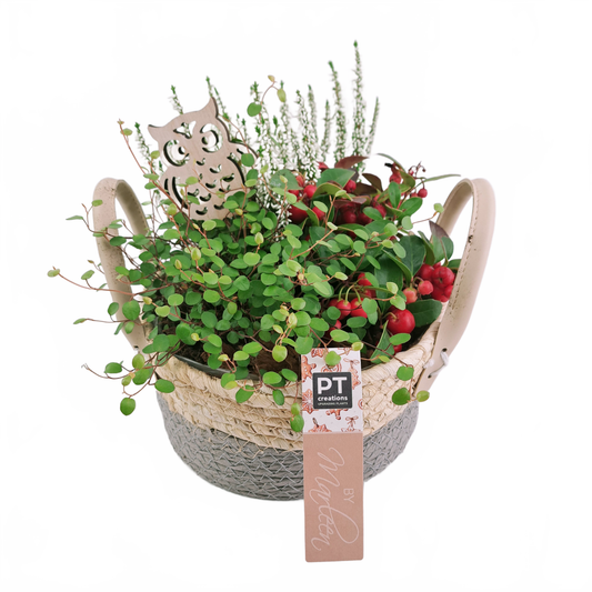 this is a product image