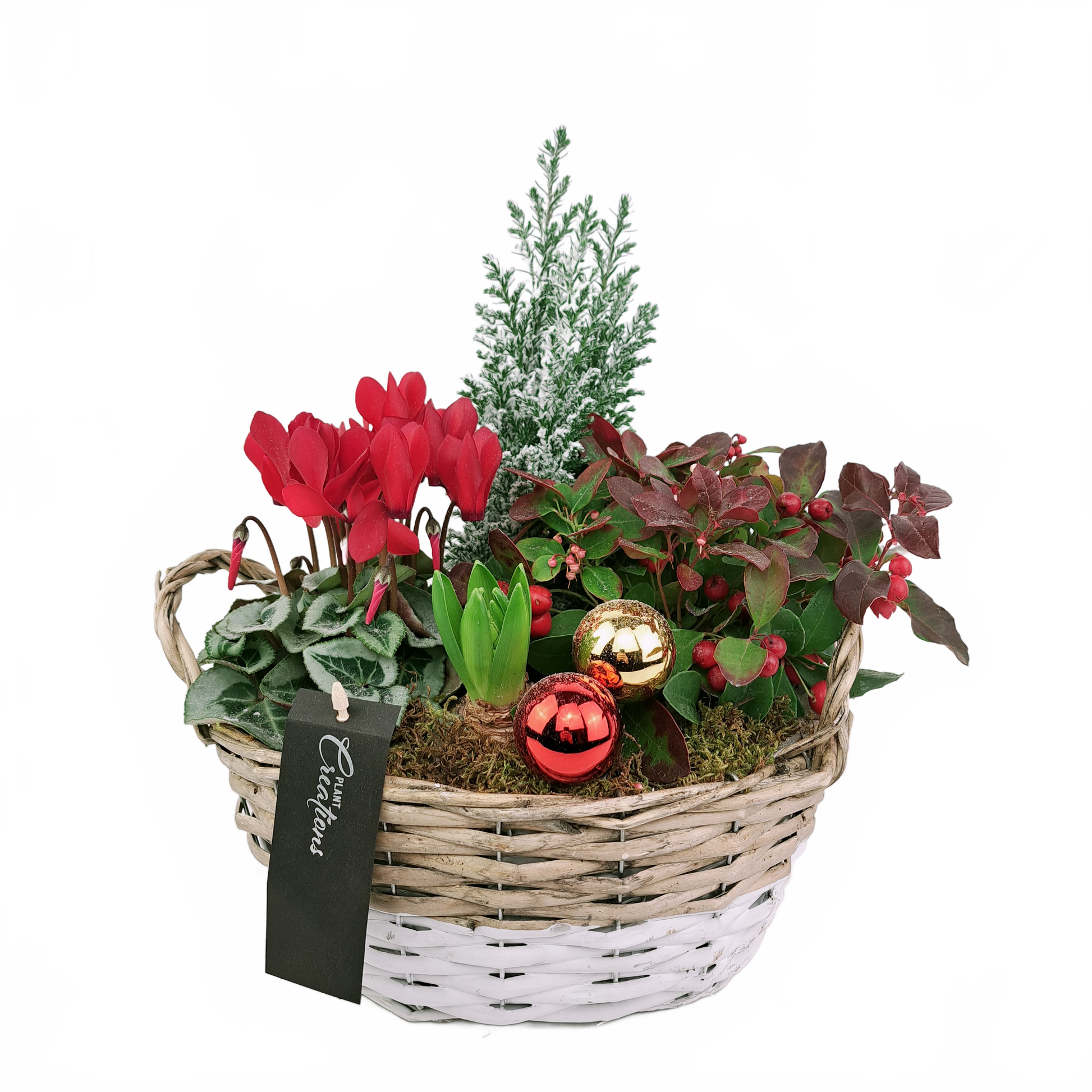 this is a product image