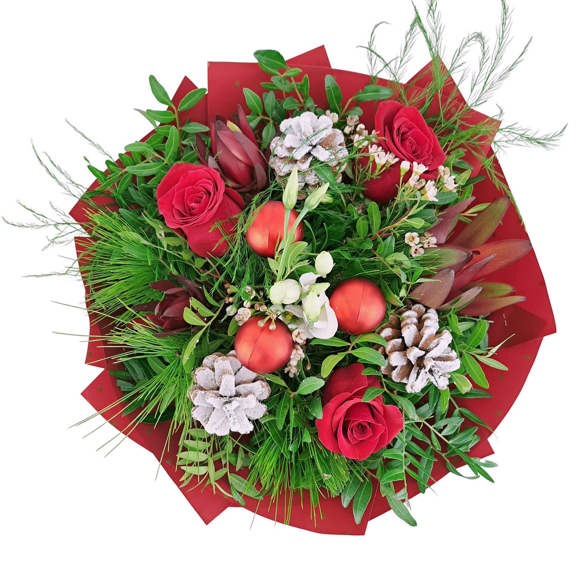 this is a product image