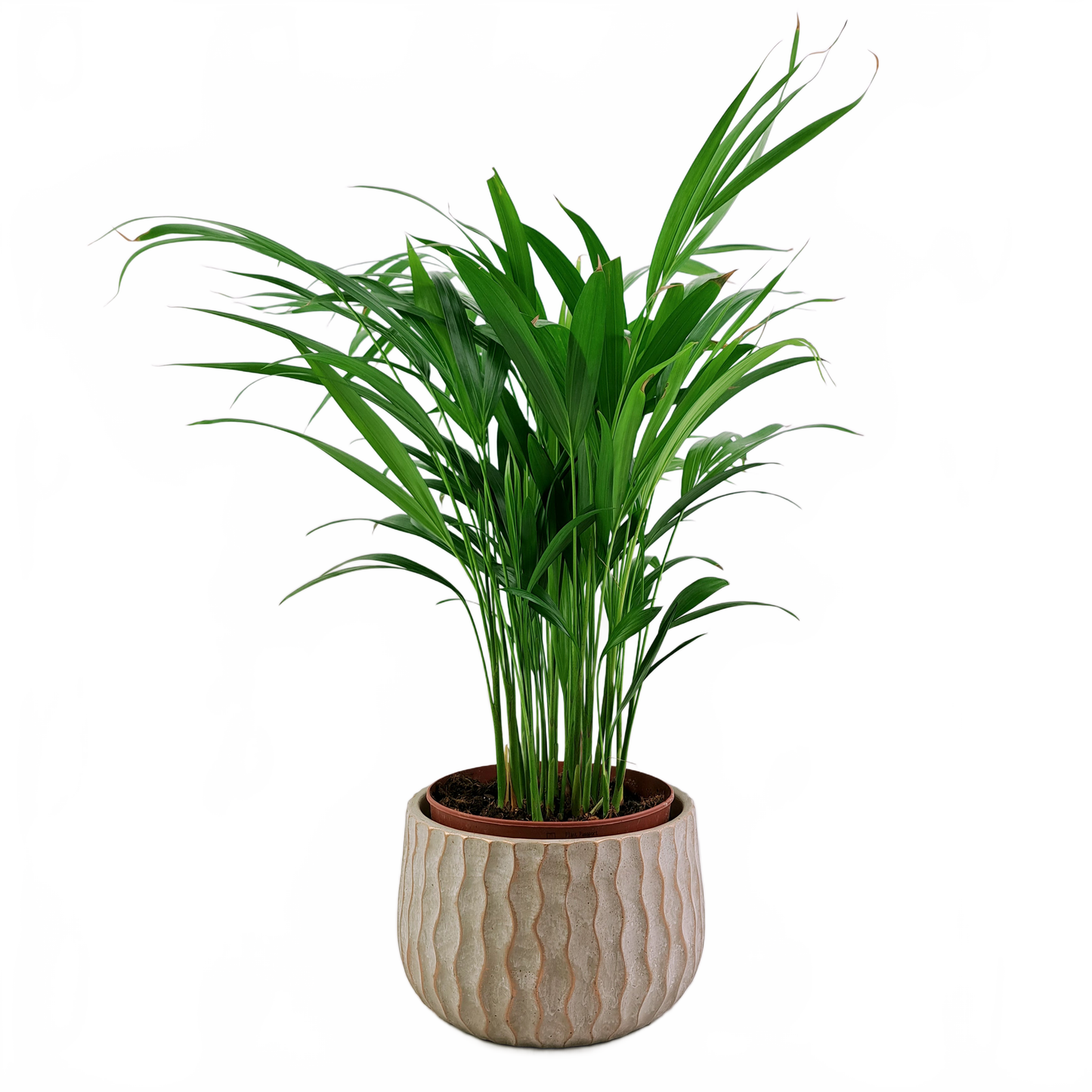 Updated product image