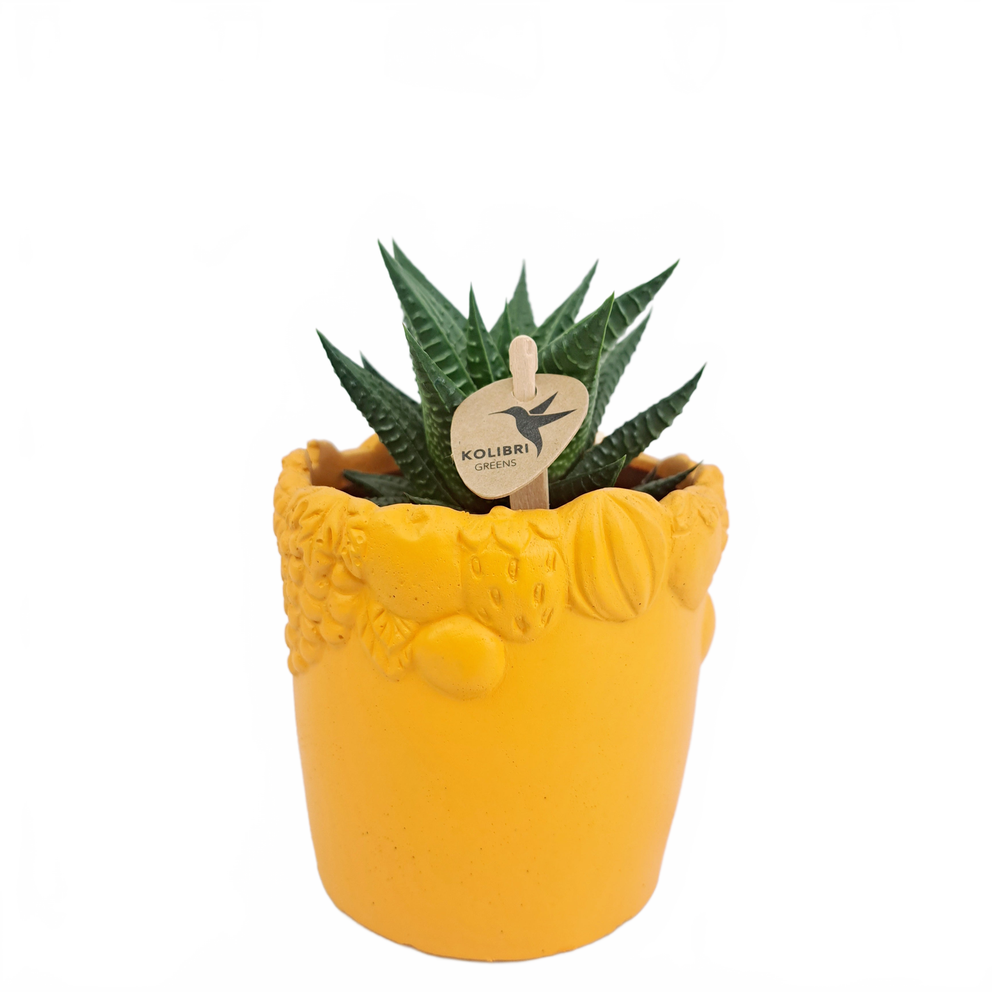 Updated product image