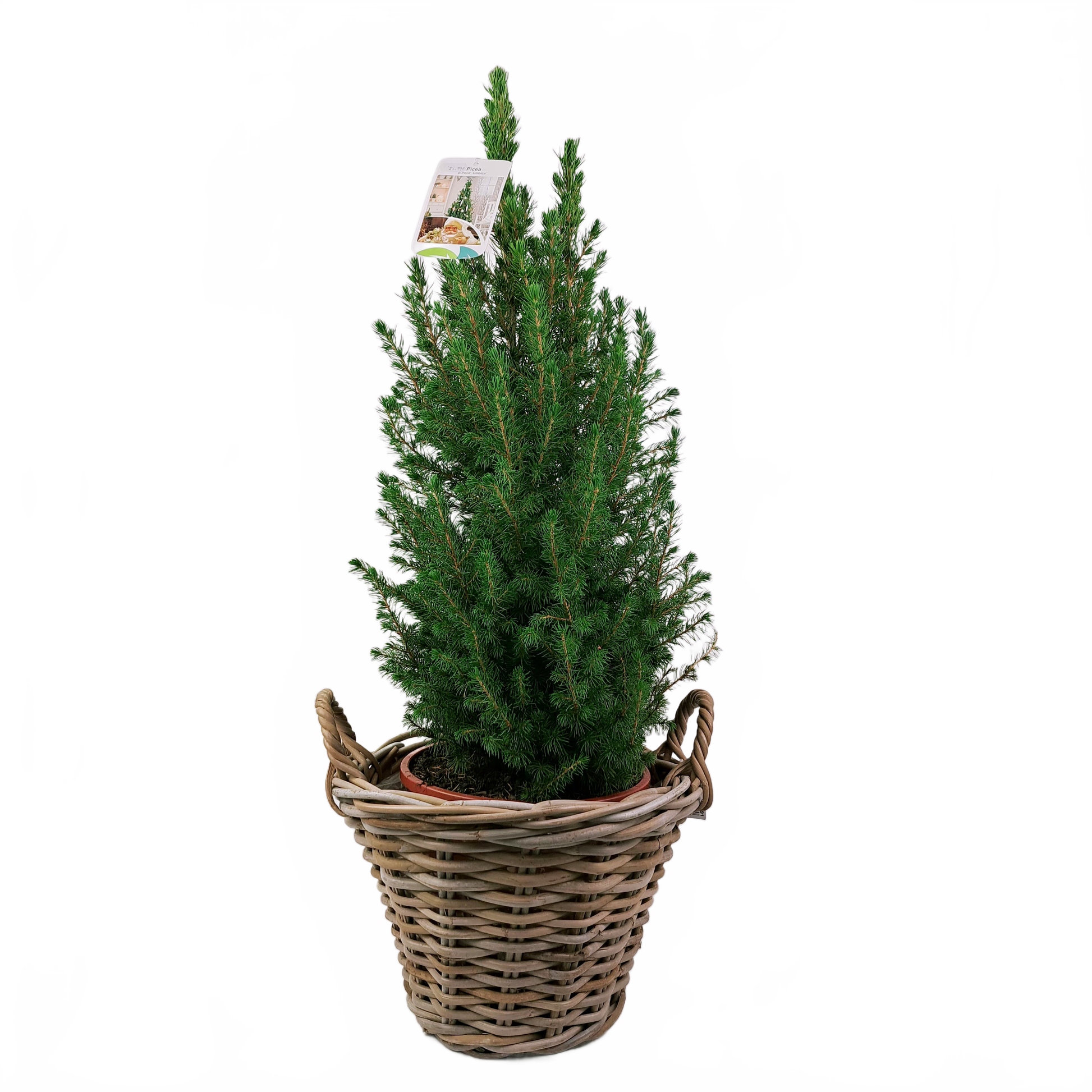 this is a product image