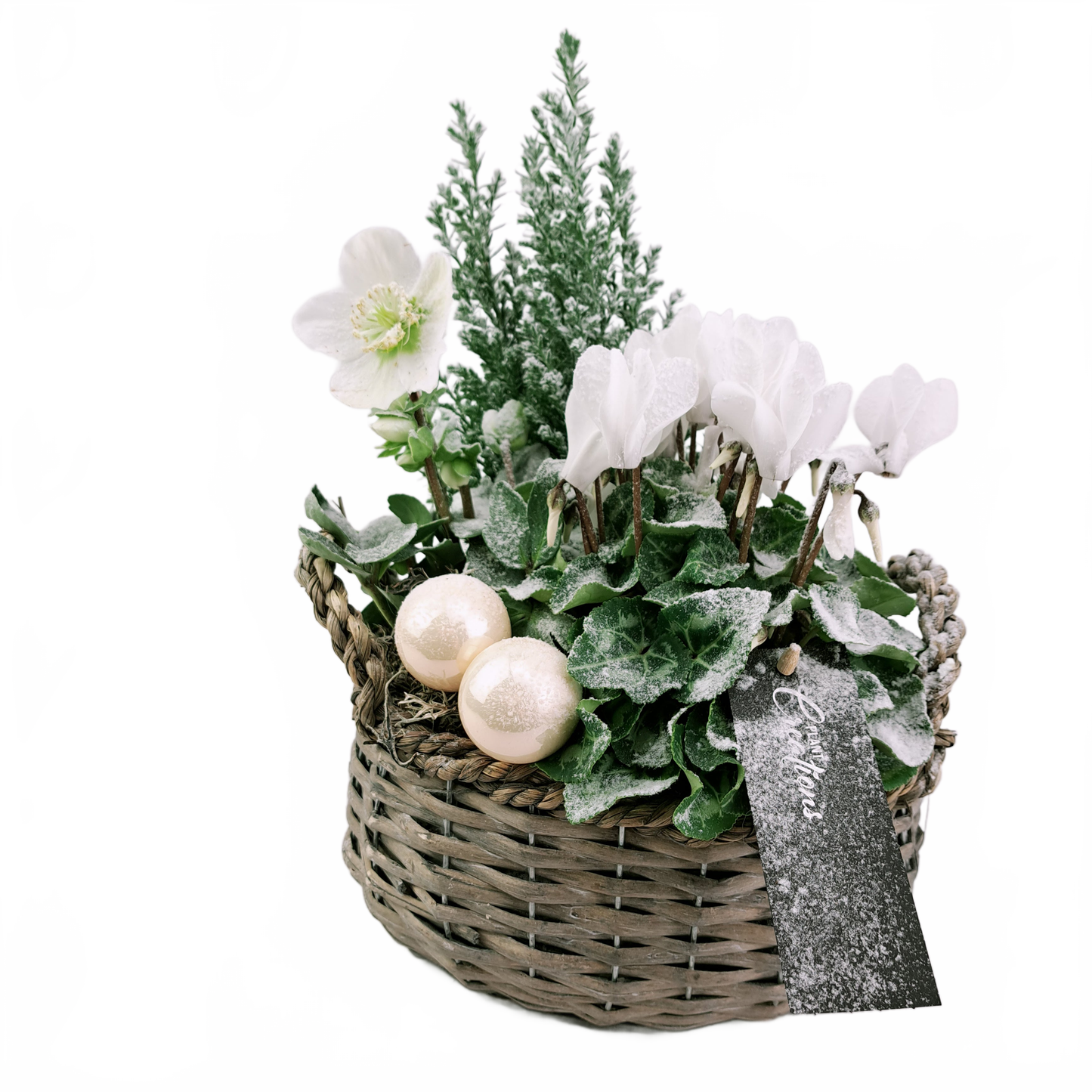 this is a product image