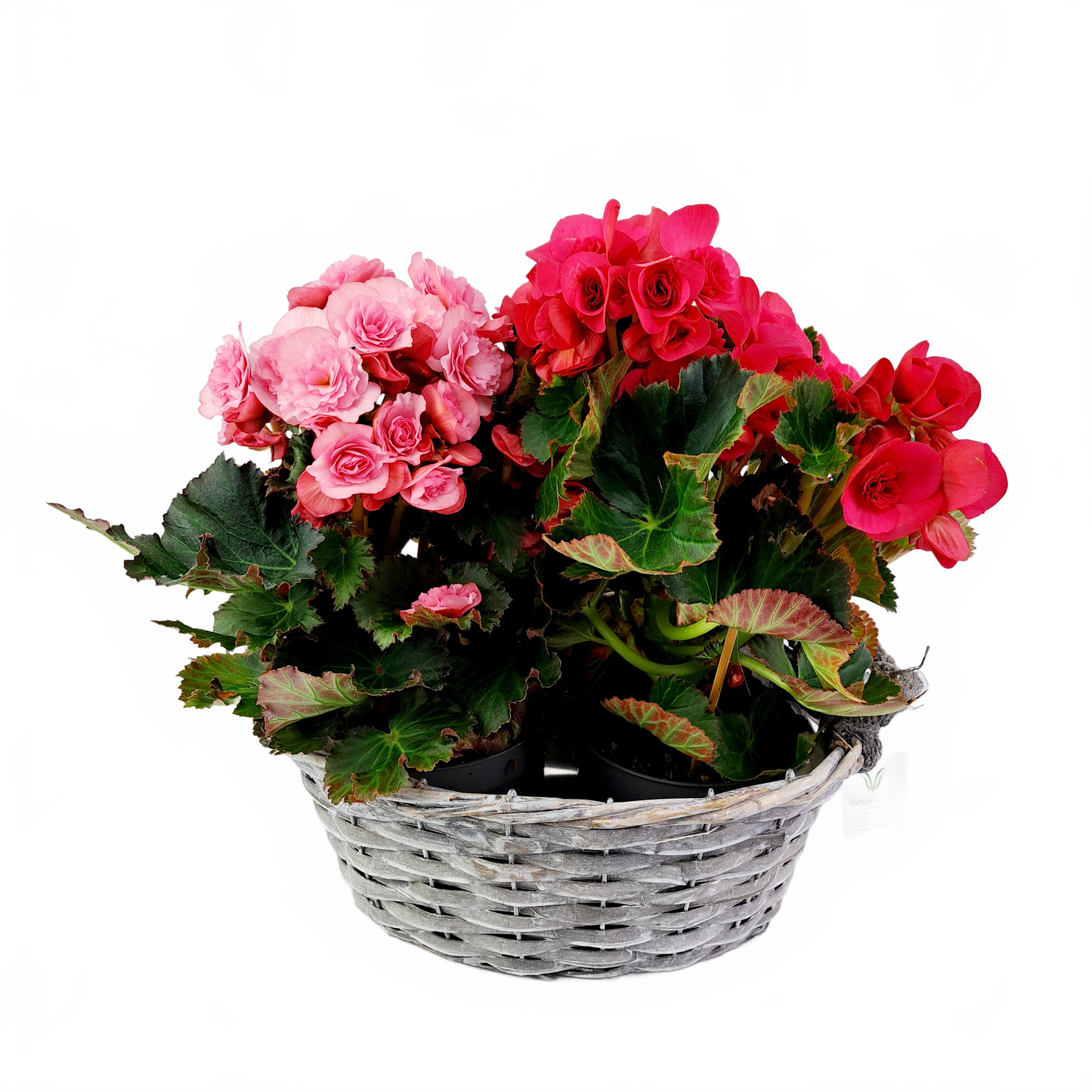 Updated product image