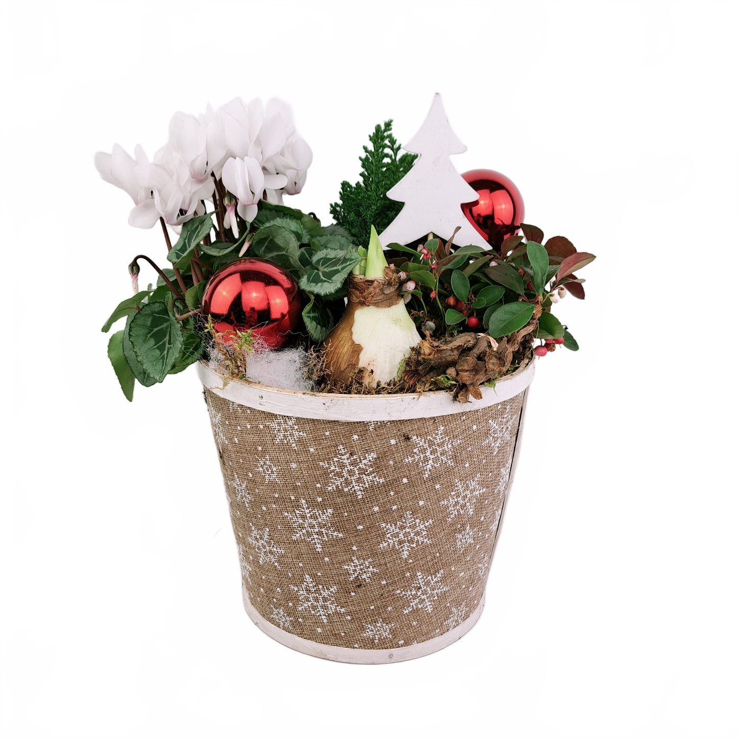 this is a product image