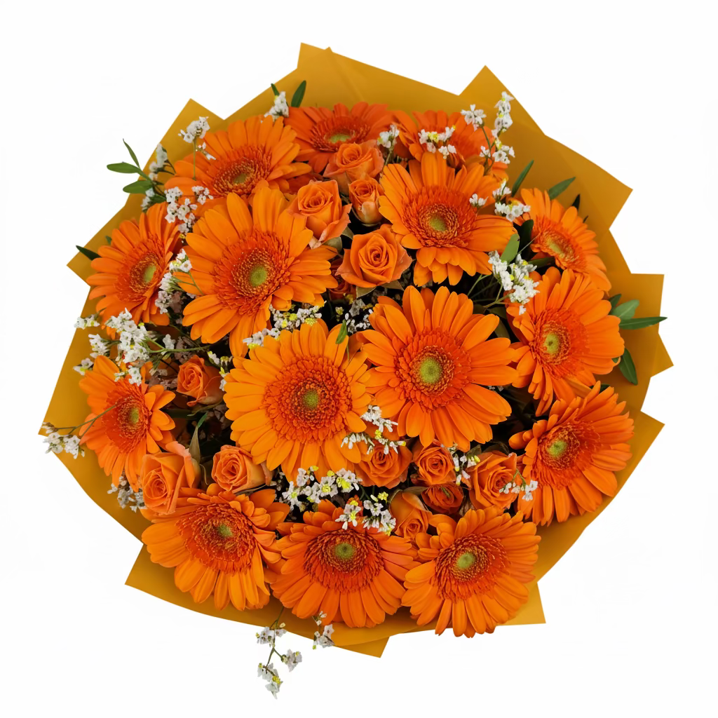 NOVINKA Kytica 15 oranžových gerbier - Orange Kiss