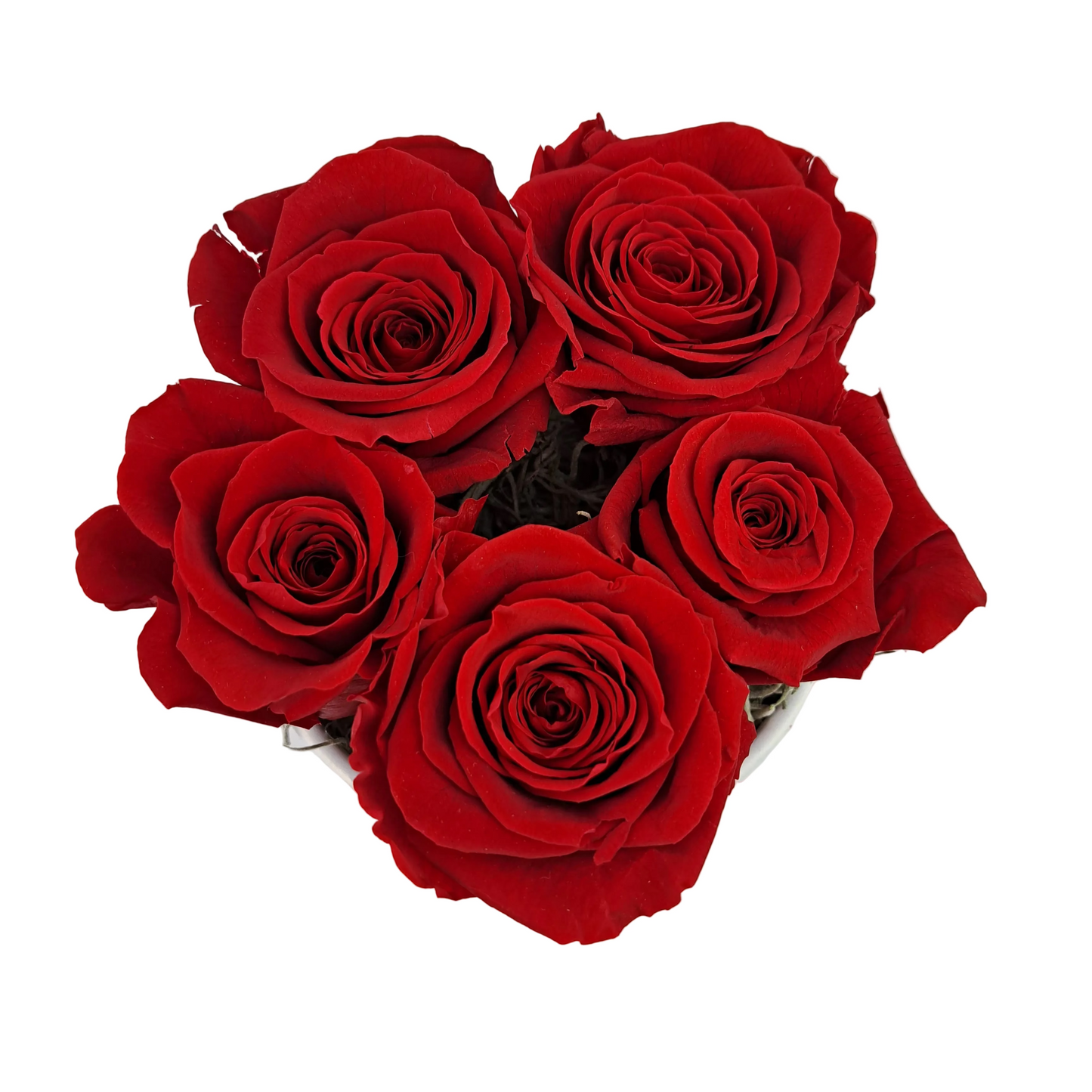 Flowerbox 5 stabilizovaných ruží - ETERNAL Flowers - Červený