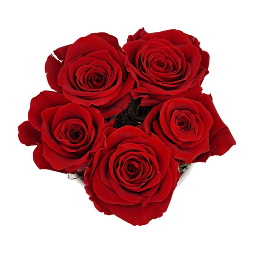 Flowerbox 5 stabilizovaných ruží - ETERNAL Flowers - Červený