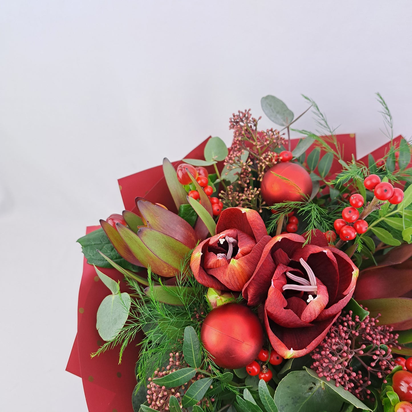 Novinka Červené kúzlo