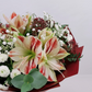 Novinka Farebný amaryllis s eukalyptom