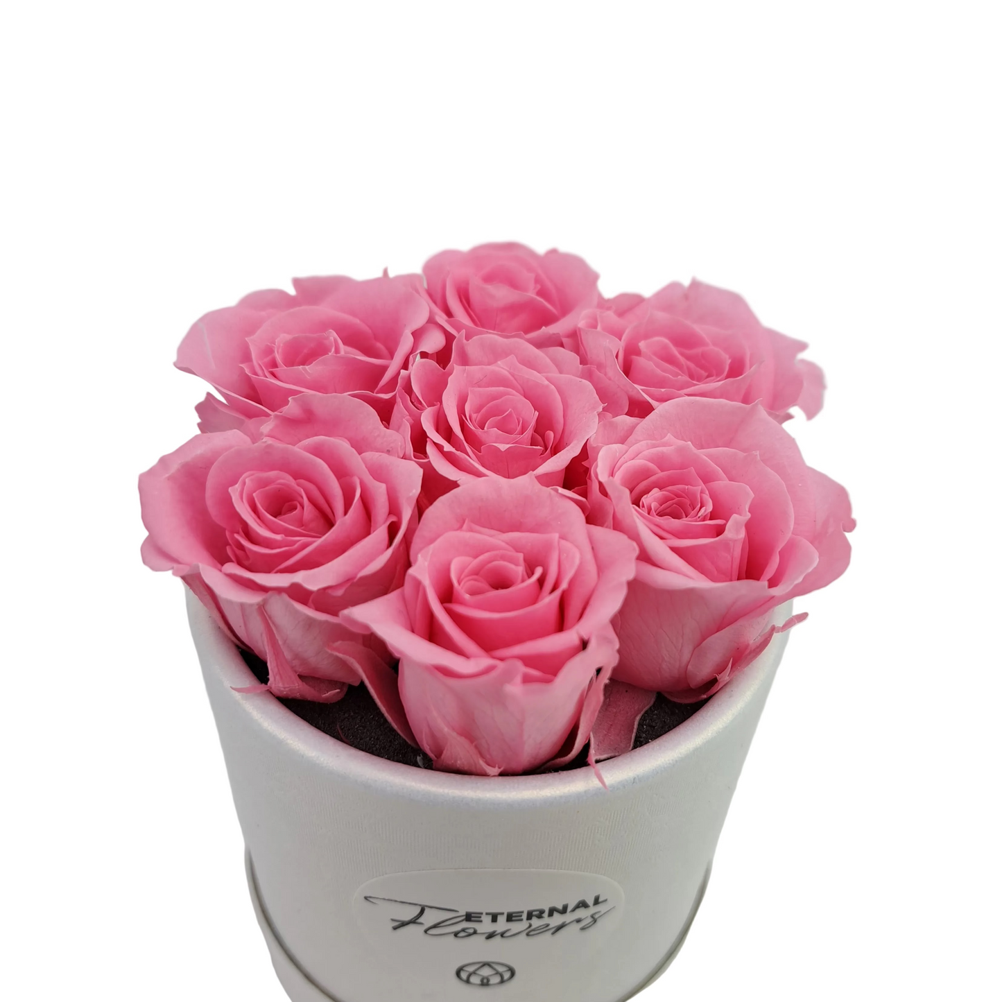 Donáška kvetov - Flowerbox 7 stabilizovaných ruží „Pink Glow“ - slovenske-kvety.sk
