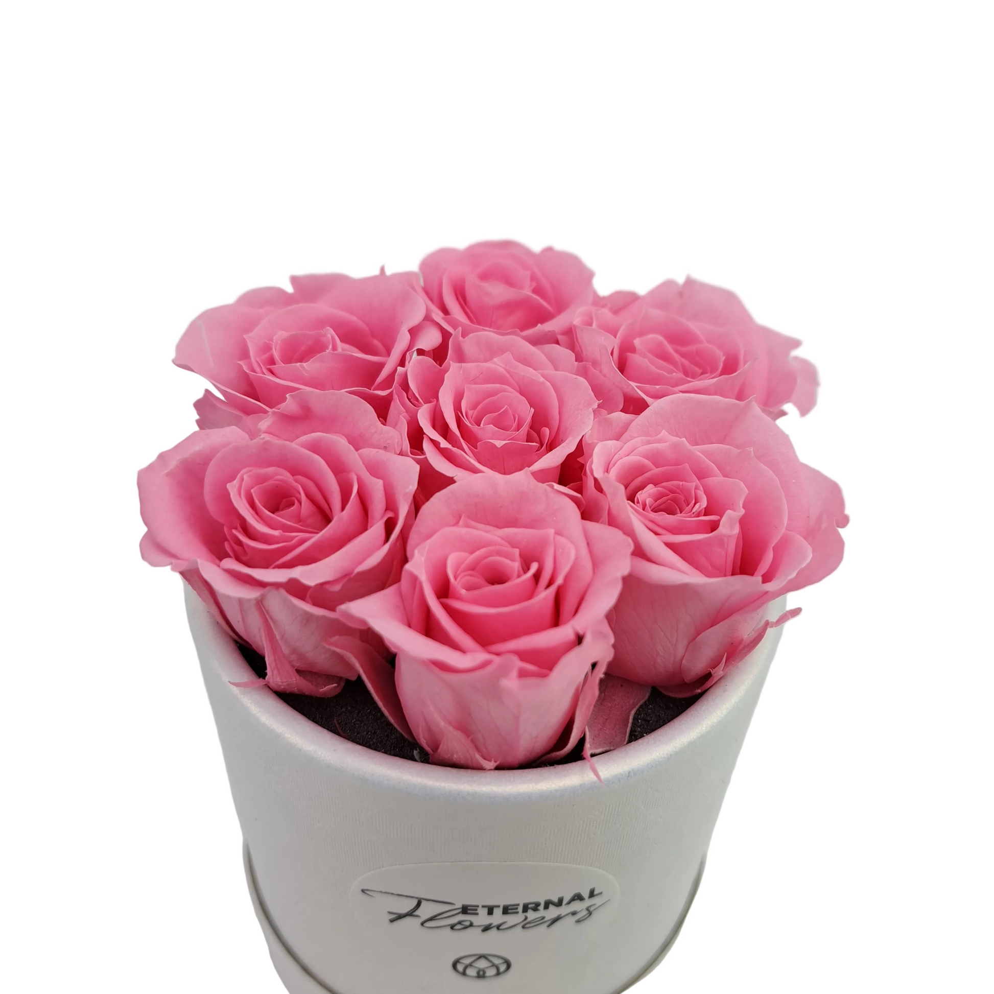 Donáška kvetov - Flowerbox 7 stabilizovaných ruží „Pink Glow“ - slovenske-kvety.sk