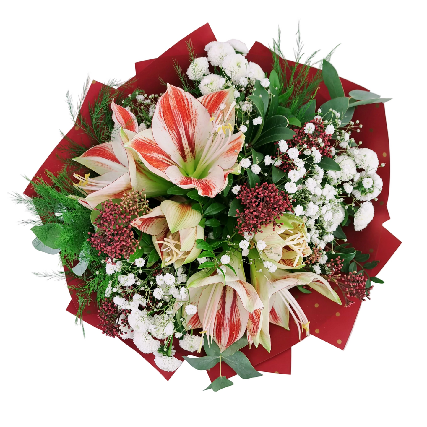 Novinka Farebný amaryllis s eukalyptom