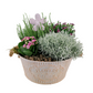 Aranžmán plný kvetov v žltom vedierku - Flowers Garden