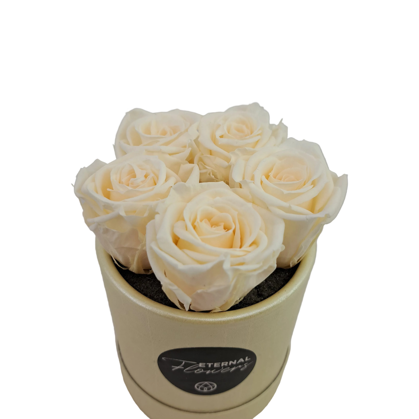 Donáška kvetov - Mini Flowerbox 5 stabilizovaných ruží „Golden Glow“ - slovenske-kvety.sk