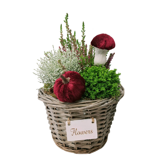 Donáška kvetov - Aranžmán s Hebe a vresovcom v košíku - Flowers - slovenske-kvety.sk