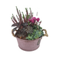 Aranžmán plný kvetov v ružovom vedierku – Flowers Garden