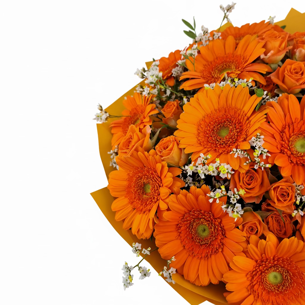 NOVINKA Kytica 15 oranžových gerbier - Orange Kiss