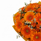 NOVINKA Kytica 15 oranžových gerbier - Orange Kiss
