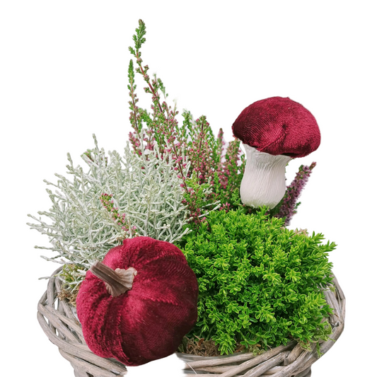 Donáška kvetov - Aranžmán s Hebe a vresovcom v košíku - Flowers - slovenske-kvety.sk