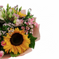 Kytica Golden Romance
