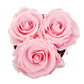 LOVE Flowerbox 3 ružových stabilizovaných ruží - ETERNAL Flowers