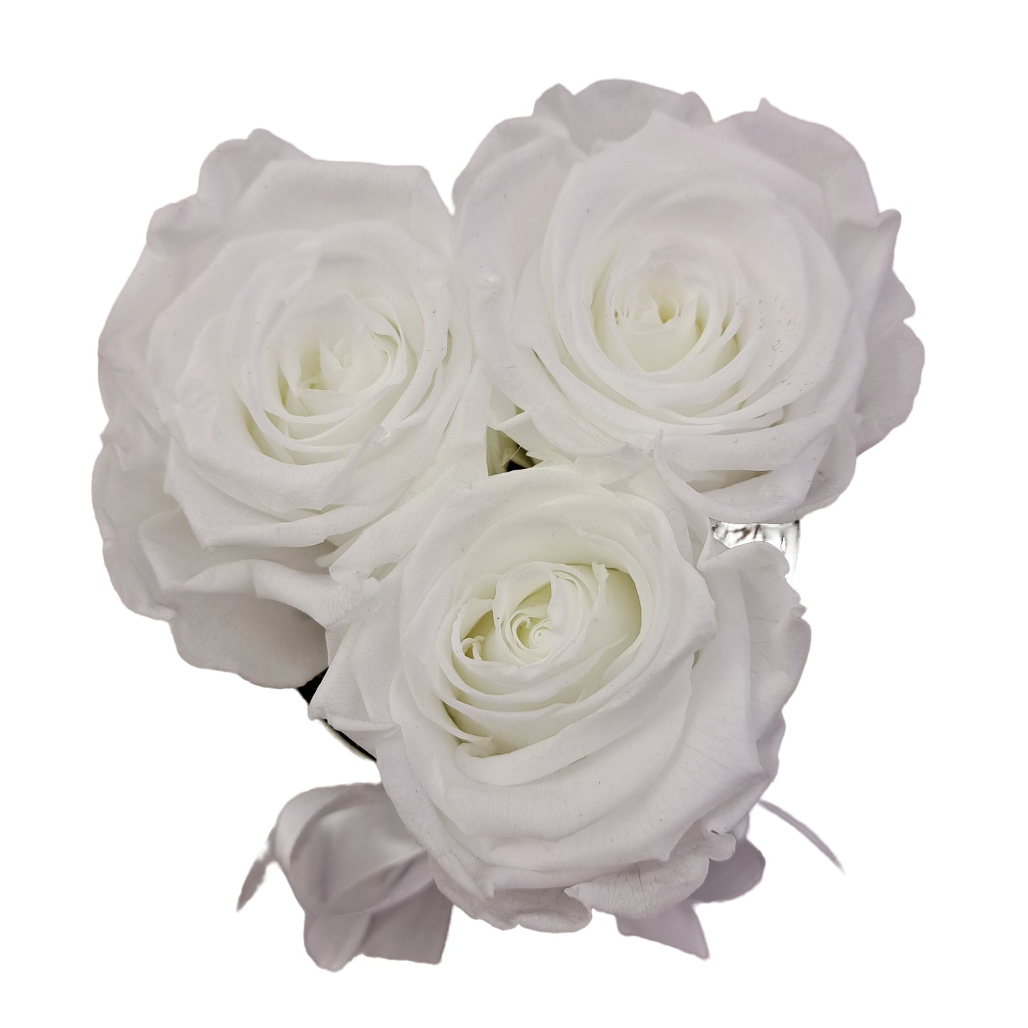 LOVE Flowerbox 3 bielych stabilizovaných ruží - ETERNAL Flowers