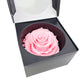 XXL Stabilizovaná ruža v exkluzívnej krabičke - Ružová