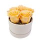 Flowerbox  stabilizovaných ruží - ETERNAL Flowers - Broskyňová
