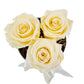 LOVE Flowerbox 3 champagne stabilizovaných ruží - ETERNAL Flowers