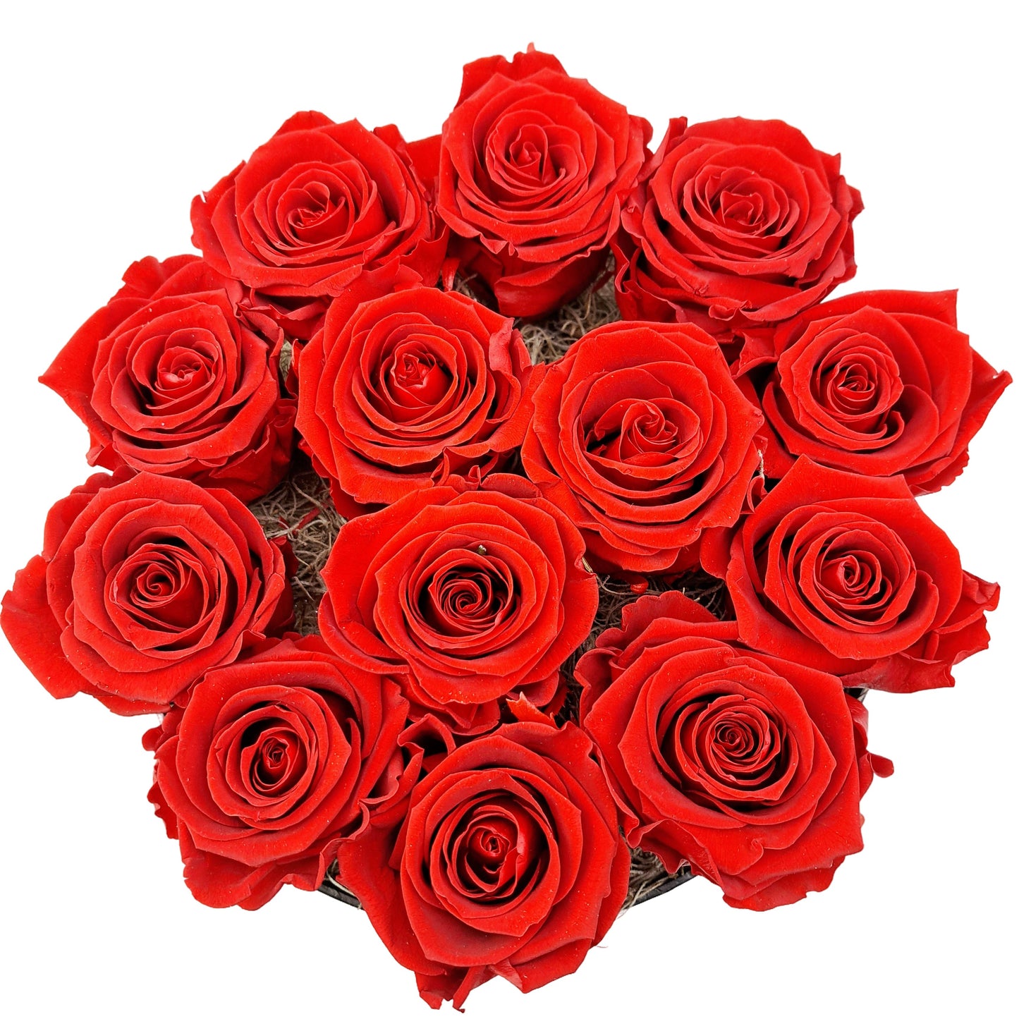 Flowerbox 13 stabilizovaných ruží - ETERNAL Flowers - červené ruže v čiernom