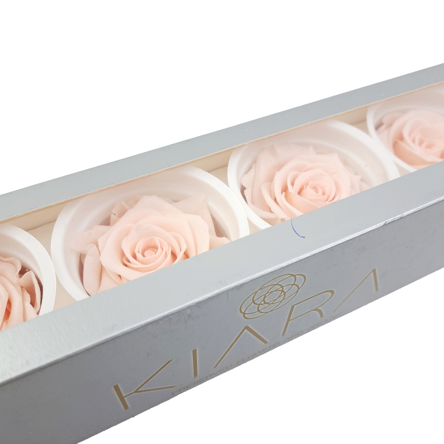 Stabilizované ruže 6ks box - ETERNAL Flowers Marhuľové