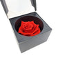 Stabilizovaná ruža v exkluzívnej krabičke - Červená