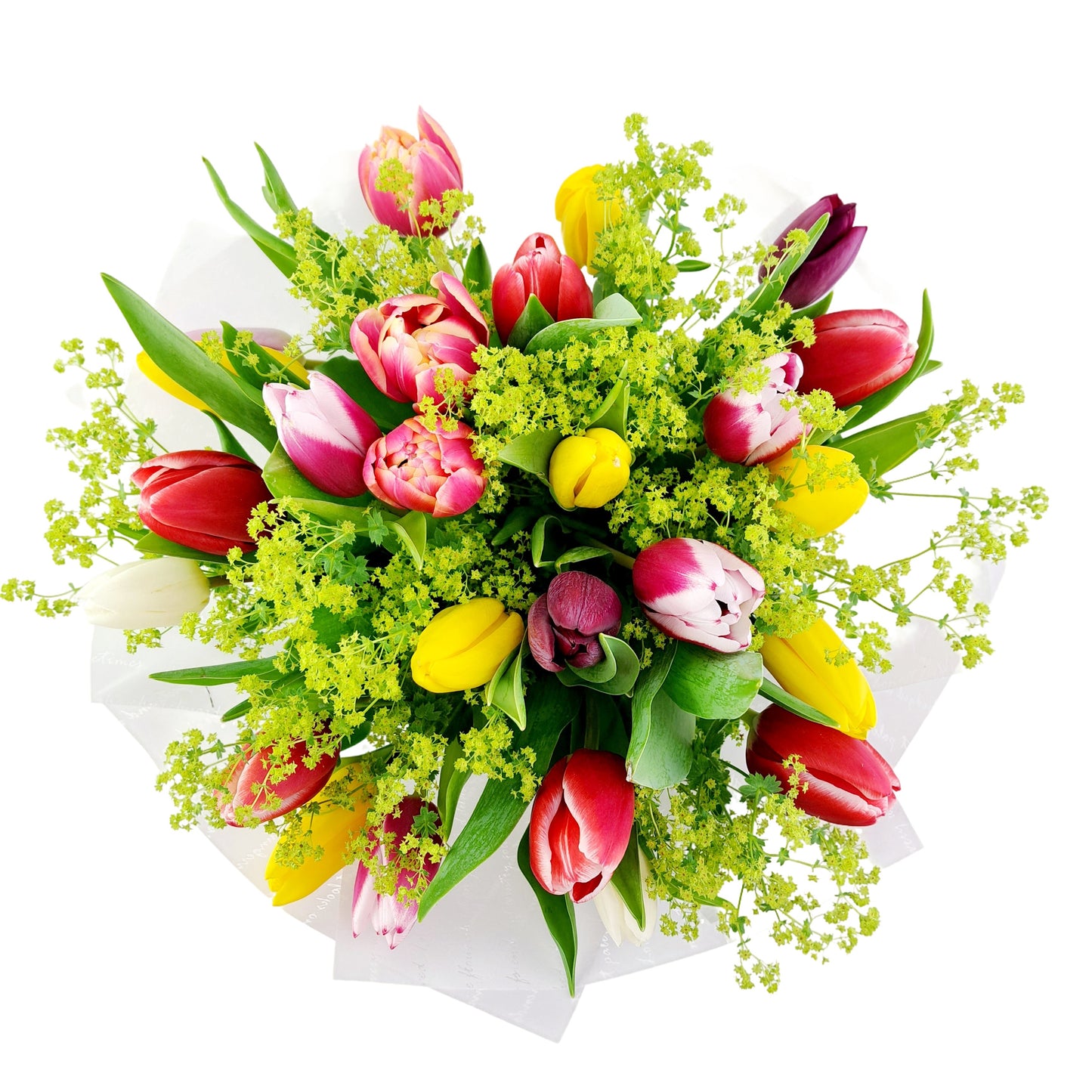 NOVINKA 25 farebných tulipánov s alchemilkou