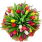 Donáška kvetov - 50 farebných tulipánov - slovenske-kvety.sk