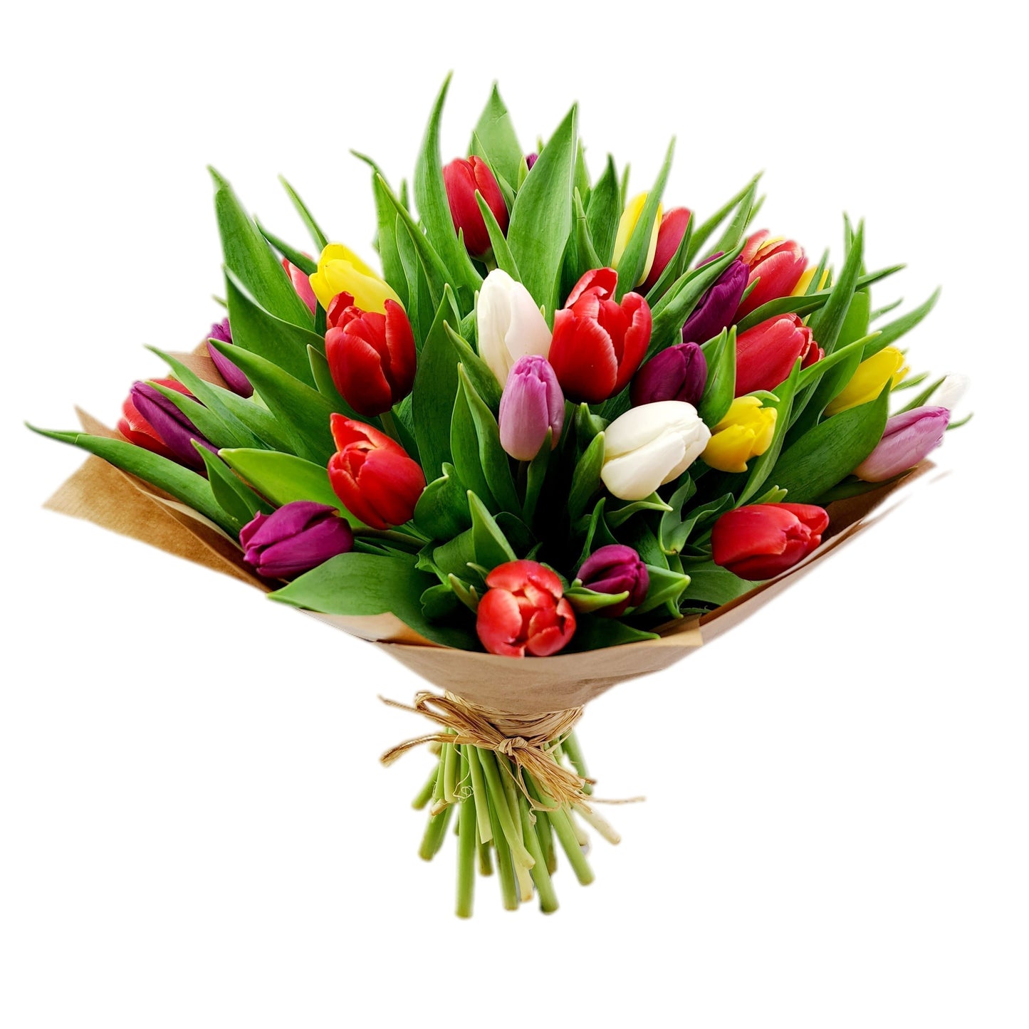 Donáška kvetov - 50 farebných tulipánov - slovenske-kvety.sk
