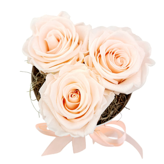 LOVE Flowerbox 3 marhuľových stabilizovaných ruží - ETERNAL Flowers