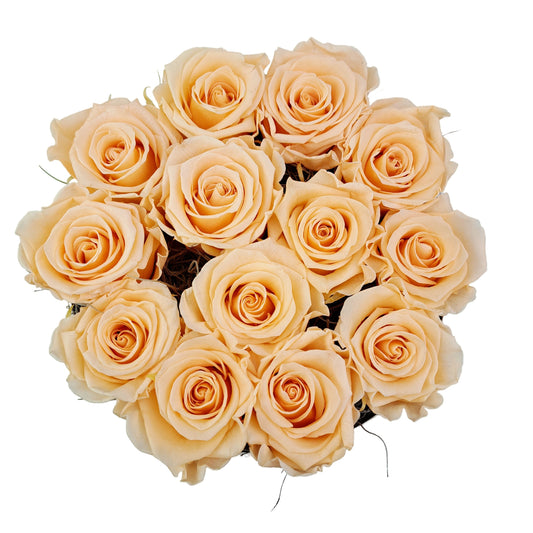 Flowerbox 13 stabilizovaných ruží - ETERNAL Flowers - Broskyňové ruže v bielom