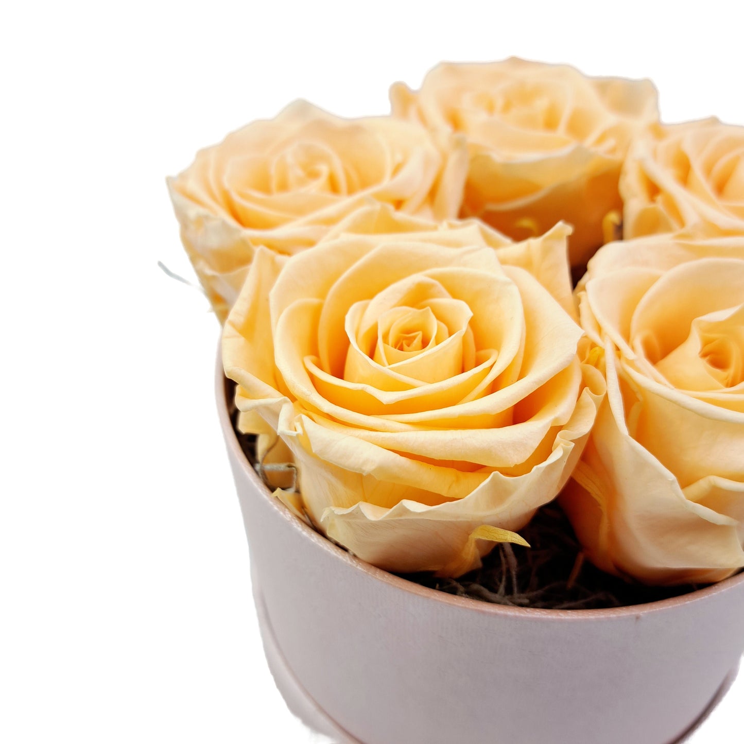 Flowerbox  stabilizovaných ruží - ETERNAL Flowers - Broskyňa