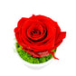 Stabilizovaná ruža v keramike - Červená