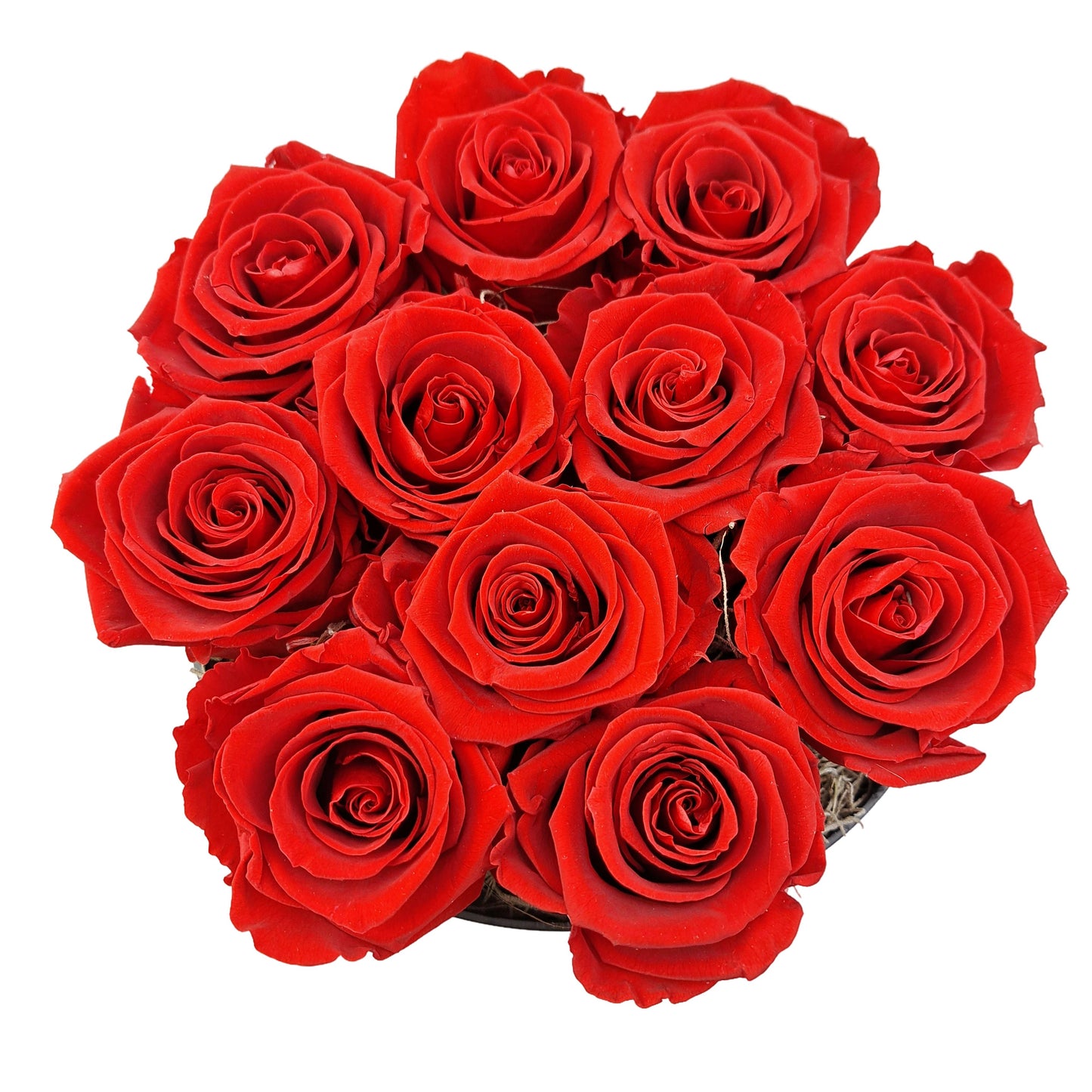 Flowerbox 11 stabilizovaných ruží - ETERNAL Flowers - červené ruže v čiernom