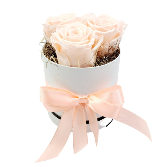 LOVE Flowerbox 3 marhuľových stabilizovaných ruží - ETERNAL Flowers