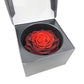 Stabilizovaná ruža v exkluzívnej krabičke - Červená Ombré