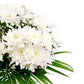 Smútočná kytica biele chryzantémy (živé kvety)