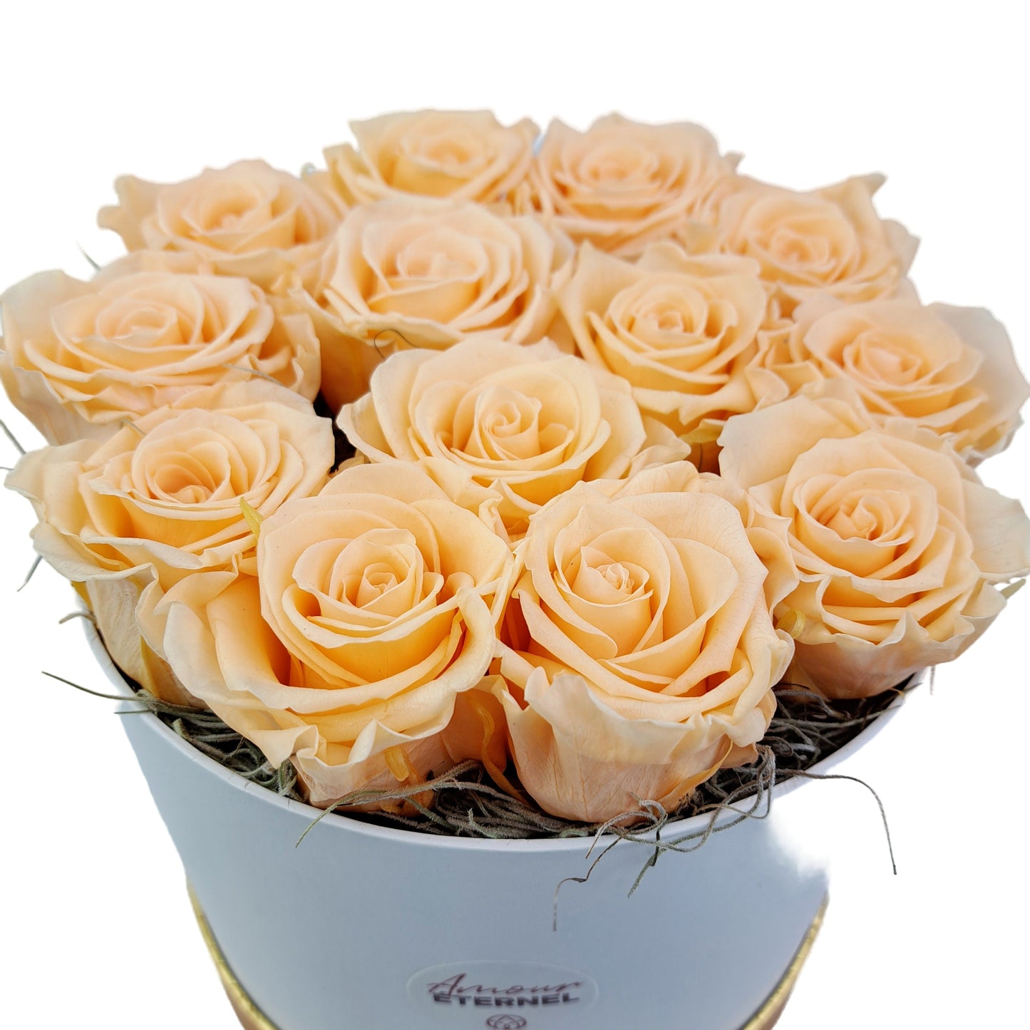 Flowerbox 13 stabilizovaných ruží - ETERNAL Flowers - Broskyňové ruže v bielom